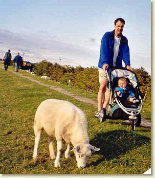 20050802-10 Vakantie-wandelen op de dijk